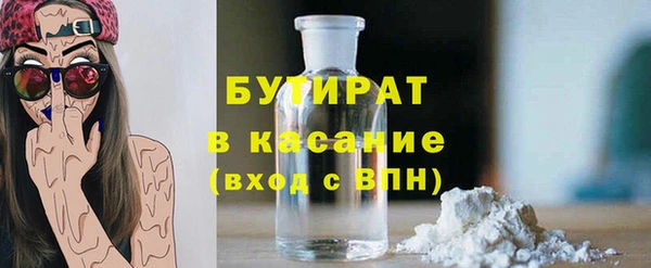 стаф Каменка
