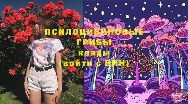 2c-b Каменск-Шахтинский