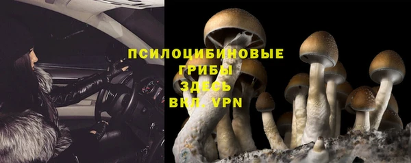 тгк Каменногорск