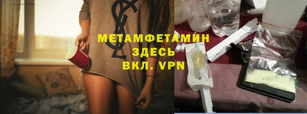 стаф Каменка