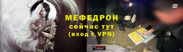 стаф Каменка