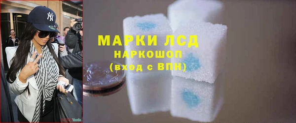 стаф Каменка