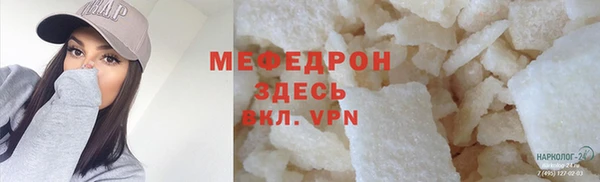 стаф Каменка