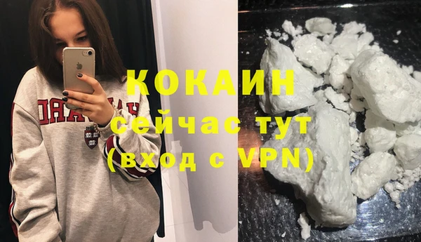 хмурый Касимов