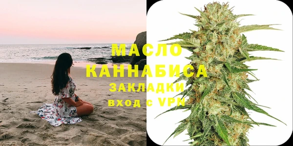 тгк Каменногорск