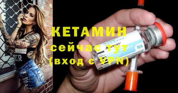 стаф Каменка