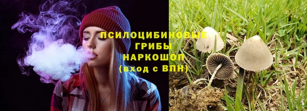 стаф Каменка