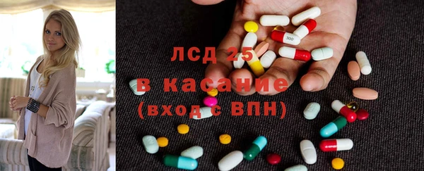 стаф Каменка