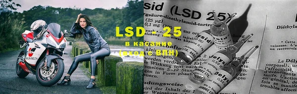 тгк Каменногорск