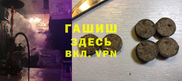 стаф Каменка