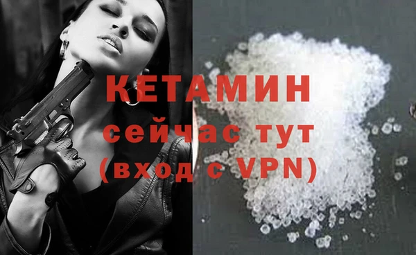 стаф Каменка