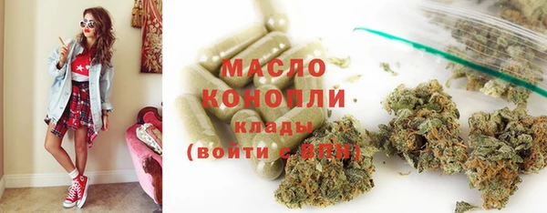 стаф Каменка