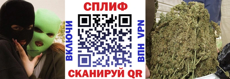 Каннабис OG Kush Княгинино
